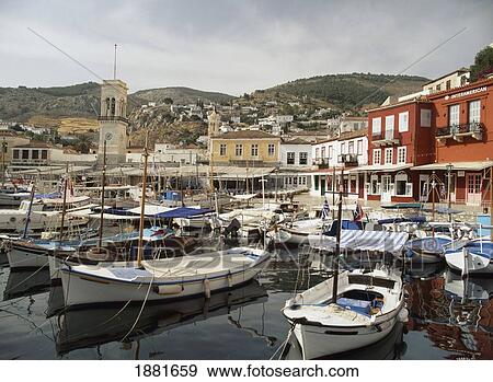Harbor Hydra View Large Photo Image Stock Photo - Harbor Hydra. Fotosearch