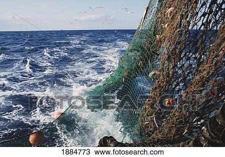 Hauling In The Nets Aboard A Trawler View Large Photo Image Stock Image - Hauling In The Nets Aboard A Trawler. Fotosearch