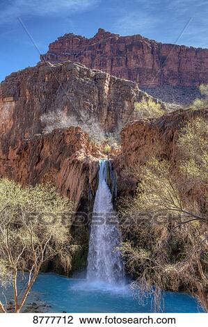 Havasu falls, Havasupai reservation, Grand Canyon; Arizona, United States of America View Large Photo Image Stock Image - Havasu falls, Havasupai reservation, Grand Canyon; Arizona, United States of America. Fotosearch