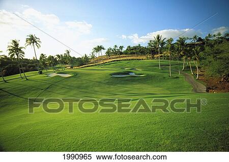 Hawaii, Big Island. 18Th Green At Mauna Kea Beach Hotel Golf Course View Large Photo Image Stock Photography - Hawaii, Big Island. 18Th Green At Mauna Kea Beach Hotel Golf Course. Fotosearch