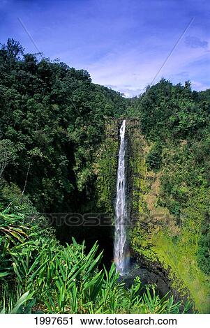 Stock Image - Hawaii, Big Island, Akaka Falls Full Length View Into Pool Rainbow, Blue Sky A20A. Fotosearch