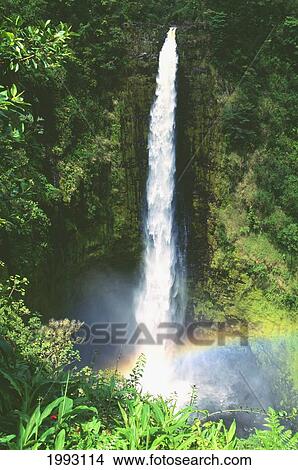 Hawaii, Big Island, Akaka Falls, Lush Greenery In Foreground, Small Rainbow At Bottom. View Large Photo Image Picture - Hawaii, Big Island, Akaka Falls, Lush Greenery In Foreground, Small Rainbow At Bottom.. Fotosearch