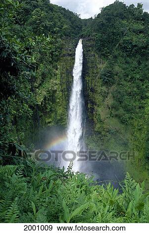 Hawaii, Big Island, Akaka Falls State Park, View From Top, Rainbow Caused By Spray Near Base Greenery View Large Photo Image Stock Photo - Hawaii, Big Island, Akaka Falls State Park, View From Top, Rainbow Caused By Spray Near Base Greenery. Fotosearch