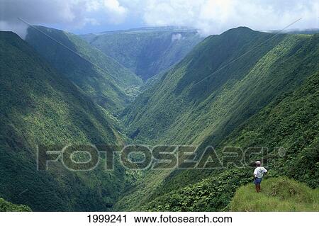 Stock Image - Hawaii, Big Island, Back Side Of Waipio Valley, Hiker On Trail Takes In View. For Editorial Use Only.. Fotosearch