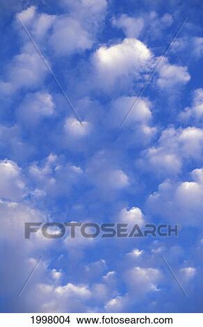 Picture - Hawaii, Big Island, Blue Sky Dotted With Puffy Clouds. Fotosearch