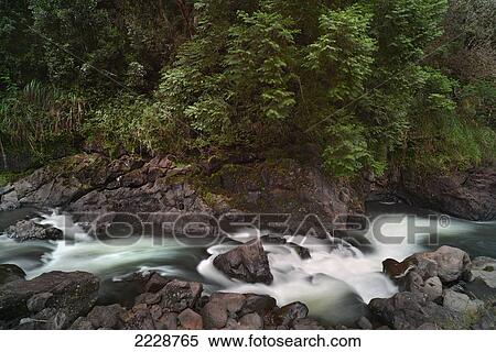 Hawaii, Big Island, Boiling Pots Park, Stream Running Through Lush Green Foliage. View Large Photo Image Stock Photography - Hawaii, Big Island, Boiling Pots Park, Stream Running Through Lush Green Foliage.. Fotosearch