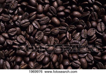 Hawaii, Big Island, Close-Up Of Roasted Kona Coffee Beans. View Large Photo Image Stock Photograph - Hawaii, Big Island, Close-Up Of Roasted Kona Coffee Beans.. Fotosearch