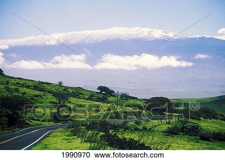 Hawaii, Big Island, Distant Mauna Kea From Kohala Mountain Road. View Large Photo Image Stock Image - Hawaii, Big Island, Distant Mauna Kea From Kohala Mountain Road.. Fotosearch
