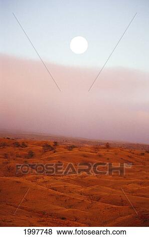 Stock Photo - Hawaii, Big Island, Full Moon Rising Over Parker Ranch Pasture.. Fotosearch