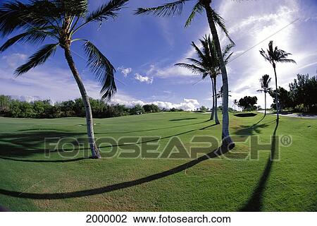 Stock Image - Hawaii, Big Island, Golf Course At Mauna Kea Beach Resort, Golfers Distance D1320. Fotosearch