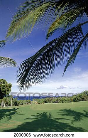 Hawaii, Big Island, Golf Course At Mauna Kea Beach Resort, Ocean And Golf Carts In Distance D1328 View Large Photo Image Stock Photograph - Hawaii, Big Island, Golf Course At Mauna Kea Beach Resort, Ocean And Golf Carts In Distance D1328. Fotosearch