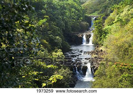Stock Photo - Hawaii, Big Island, Hamakua Coast, Waterfall Along Umauma Stream Surrounded By Lush Greenery.. Fotosearch