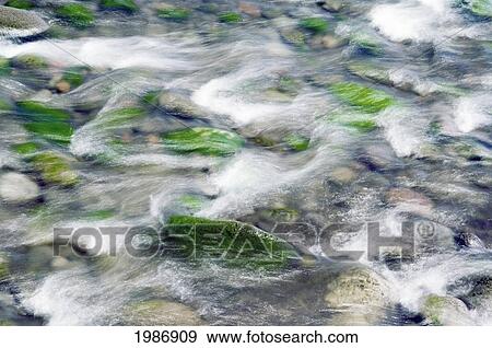 Stock Photo - Hawaii, Big Island, Hamakua Coast, Waipio Valley, Stream Rushing Over Mossy Rocks.. Fotosearch