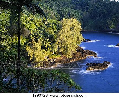Stock Photo - Hawaii, Big Island, Hamakua Coast, Onomea Bay In The Morning.. Fotosearch