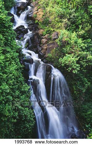 Hawaii, Big Island, Hamakua Coast, Waterfall Running Through Crevice Of Mountain View Large Photo Image Stock Photo - Hawaii, Big Island, Hamakua Coast, Waterfall Running Through Crevice Of Mountain. Fotosearch