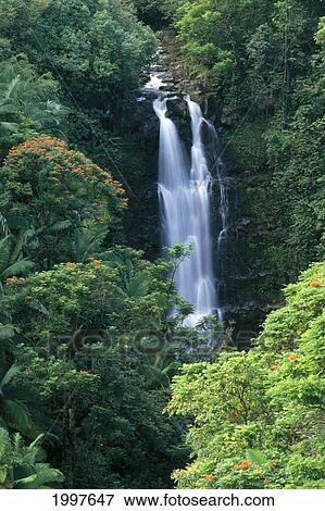 Stock Photo - Hawaii, Big Island, Hamakua Coast, Waterfall Surrounded By Greenery A20H. Fotosearch