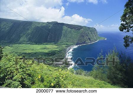 Hawaii, Big Island, Hamakua Coast, Waipio Valley Lookout, Lush Greenery, Cliffs C1613 View Large Photo Image Stock Photo - Hawaii, Big Island, Hamakua Coast, Waipio Valley Lookout, Lush Greenery, Cliffs C1613. Fotosearch