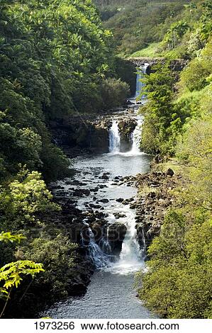 Stock Photograph - Hawaii, Big Island, Hamakua Coast, Waterfall Along Umauma Stream Surrounded By Lush Greenery.. Fotosearch