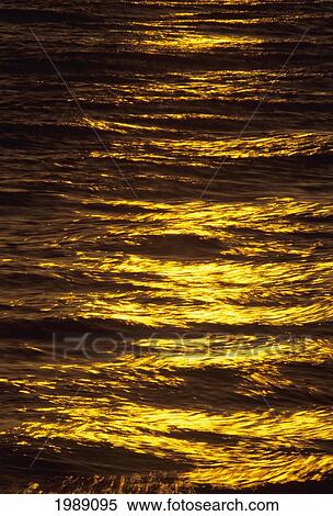 Hawaii, Big Island, Hapuna Bay, Golden Light Refliecting On Ocean Surface View Large Photo Image Stock Photography - Hawaii, Big Island, Hapuna Bay, Golden Light Refliecting On Ocean Surface. Fotosearch