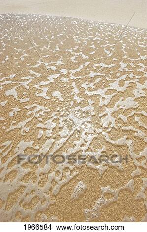 Picture - Hawaii, Big Island, Hapuna Beach, Sea Foam On Sandy Shore.. Fotosearch