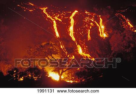 Stock Image - Hawaii, Big Island, Hawaii Volcanoes National Park, Lava Flows Into Forest Burning Trees. Fotosearch