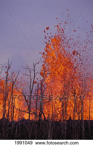 Stock Photo - Hawaii, Big Island, Hawaii Volcanoes National Park, Pu'u O Vent Rift Eruption, Burned Trees. Fotosearch