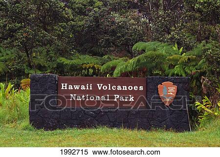 Stock Photography - Hawaii, Big Island, Hawaii Volcanoes National Park, Sign At Entry, Fern And Ohia Rainforest Behind. Fotosearch