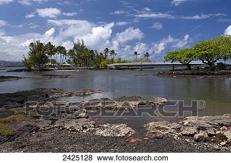 Hawaii, Big Island, Hilo, Coconut Island at Liliuokalain Gardens View Large Photo Image Stock Photo - Hawaii, Big Island, Hilo, Coconut Island at Liliuokalain Gardens. Fotosearch