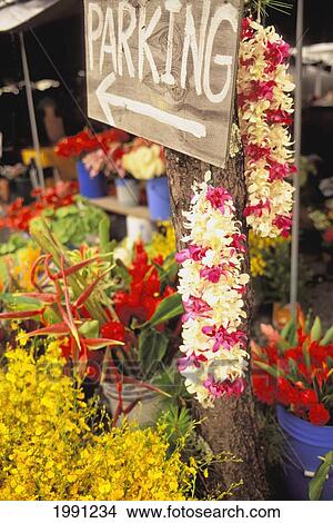Picture - Hawaii, Big Island, Hilo, Lei And Flower Stand With Parking Sign. Fotosearch