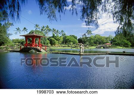 Hawaii, Big Island, Hilo, Liliuokalani Gardens Park, Pond With Bridge Branches Overhang View Large Photo Image Stock Image - Hawaii, Big Island, Hilo, Liliuokalani Gardens Park, Pond With Bridge Branches Overhang. Fotosearch