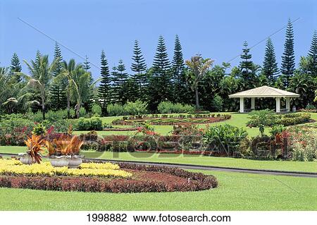 Stock Image - Hawaii, Big Island, Hilo, Nani Maui Gardens, Flowers And Green Lawn. Fotosearch