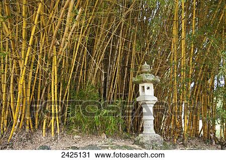 Hawaii, Big Island, Hilo, Shrine and bamboo at Liliuokalani Gardens View Large Photo Image Stock Image - Hawaii, Big Island, Hilo, Shrine and bamboo at Liliuokalani Gardens. Fotosearch