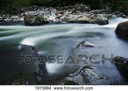 Picture - Hawaii, Big Island, Hilo, Wailuku River.. Fotosearch