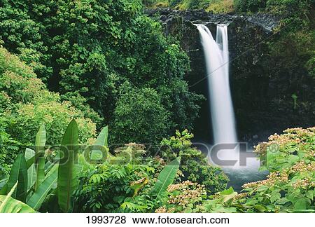 Stock Photo - Hawaii, Big Island, Hilo, Wailuku River State Park, Rainbow Falls, Flowers And Greenery In Foreground.. Fotosearch