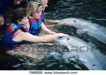 Stock Photo - Hawaii, Big Island, Hilton Waikoloa Resort, People Touching Dolphins In Water.. Fotosearch