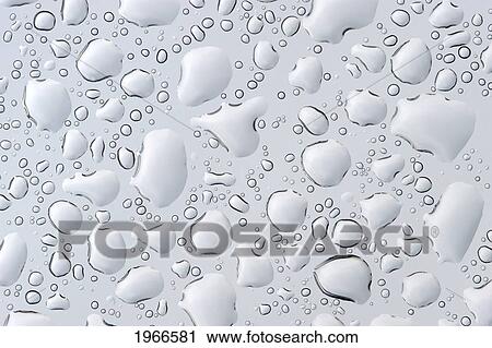 Stock Image - Hawaii, Big Island, Holualoa, Rain Water Droplets On Surface.. Fotosearch