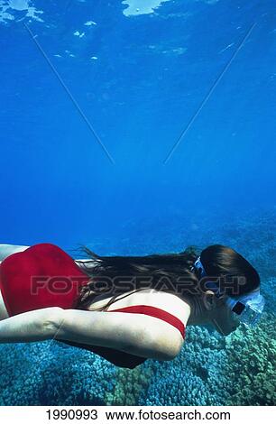 Stock Image - Hawaii, Big Island, Honaunau Bay, Underwater View Of Female Free Diver. Fotosearch