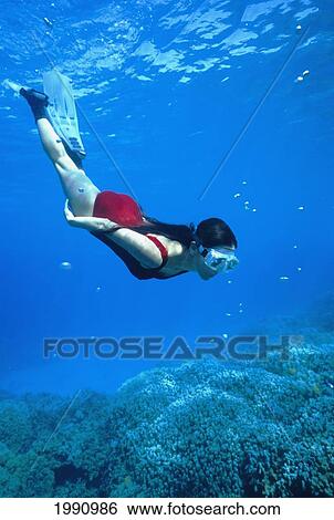 Hawaii, Big Island, Honaunau Bay, Female Free Diver, Underwater View View Large Photo Image Stock Photograph - Hawaii, Big Island, Honaunau Bay, Female Free Diver, Underwater View. Fotosearch