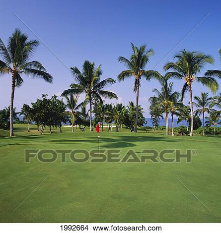 Picture - Hawaii, Big Island, Kailua-Kona, Kona Country Club, Ocean Back Course, 14Th Hole. Fotosearch