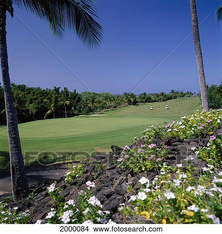 Hawaii, Big Island, Kailua-Kona, Kona Country Club Ocean Front 5Th Hole Foreground Fairway Blue Sky Palms People Faraway Golf Cart D1304 View Large Photo Image Picture - Hawaii, Big Island, Kailua-Kona, Kona Country Club Ocean Front 5Th Hole Foreground Fairway Blue Sky Palms People Faraway Golf Cart D1304. Fotosearch