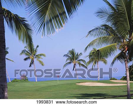 Stock Image - Hawaii, Big Island, Kailua-Kona, Kona Country Club Golf Course, Ocean Back.. Fotosearch