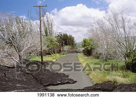 Hawaii, Big Island, Kalapana, Lava Flow Covers Tree Lined Road View Large Photo Image Stock Photo - Hawaii, Big Island, Kalapana, Lava Flow Covers Tree Lined Road. Fotosearch