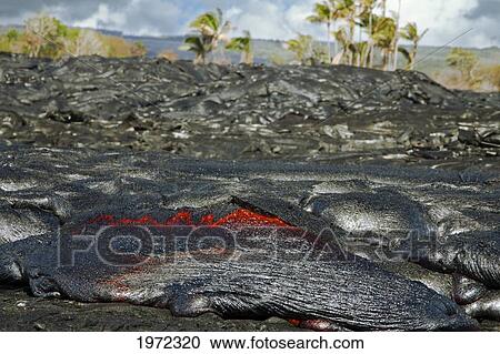 Hawaii, Big Island, Kalapana, Pahoehoe Lava Flowing From Kilauea Covering An Older Pahoehoe Flow. View Large Photo Image Stock Image - Hawaii, Big Island, Kalapana, Pahoehoe Lava Flowing From Kilauea Covering An Older Pahoehoe Flow.. Fotosearch