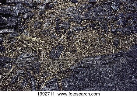 Hawaii, Big Island, Kilauea, Pele's Hair, Volcanic Glass Formed During Pu'u O'o Vent Eruption. View Large Photo Image Stock Image - Hawaii, Big Island, Kilauea, Pele's Hair, Volcanic Glass Formed During Pu'u O'o Vent Eruption.. Fotosearch