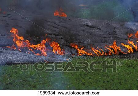 Picture - Hawaii, Big Island, Kilauea Volcano, Kalapana, Active Lava Flow Over Grass. Fotosearch