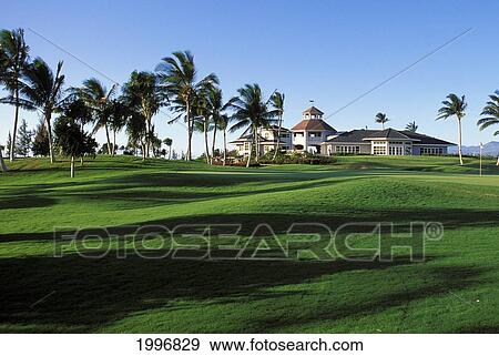Hawaii, Big Island, Kings Club Waikaloa Golf Course, Wind Blown Palms. View Large Photo Image Stock Photo - Hawaii, Big Island, Kings Club Waikaloa Golf Course, Wind Blown Palms.. Fotosearch