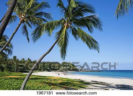 Stock Image - Hawaii, Big Island, Kohala Coast, Mauna Kea Resort, Mauna Kea Beach (Kauna'oa Beach).. Fotosearch