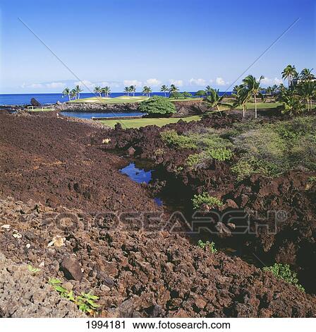 Stock Image - Hawaii, Big Island, Kohala Coast, Mauna Lani Resort, Francis I'i Brown Golf Course, South Course.. Fotosearch