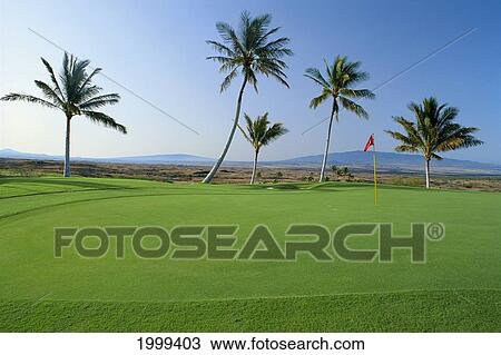 Hawaii, Big Island, Kohala Coast, Mauna Kea Resort Hole#16, Flag On Green, Palms C1263 View Large Photo Image Stock Image - Hawaii, Big Island, Kohala Coast, Mauna Kea Resort Hole#16, Flag On Green, Palms C1263. Fotosearch