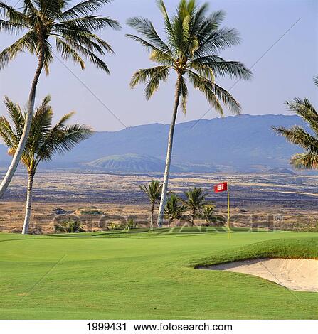 Stock Image - Hawaii, Big Island, Kohala Coast, Mauna Kea Resort Golf Course 16Th Hole With Flag, Green, Sand Trap. Fotosearch